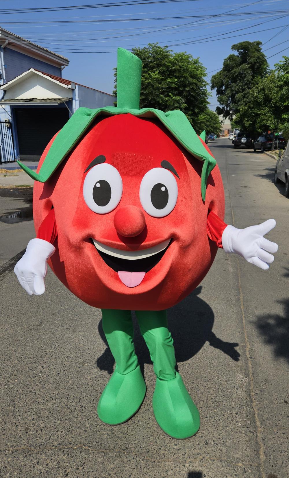 Mascotas de producto y personajes a medida